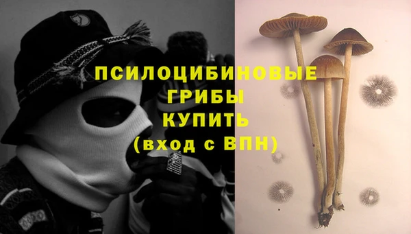 apvp Бронницы