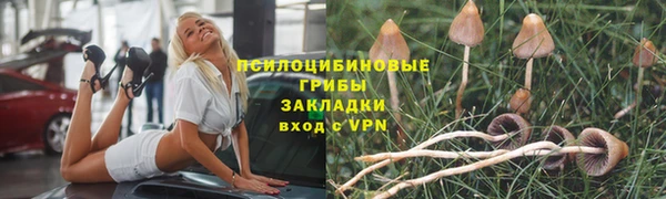 прущие крисы Бугульма