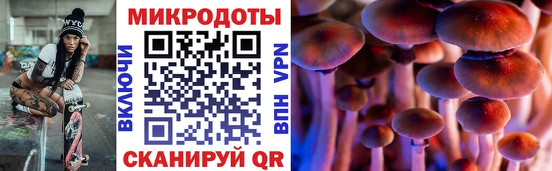 Псилоцибиновые грибы мицелий  mega онион  Славянск-на-Кубани 